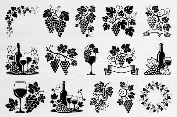Download Grape Vine Svg Bundle, Wine Grapes Svg - Bundle Collection