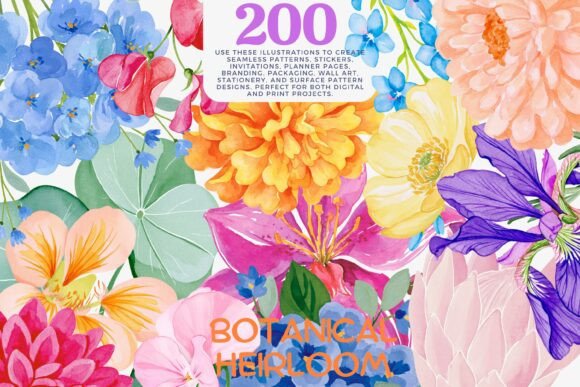 Download Watercolor Flower Clipart Bundle - Bundle Collection